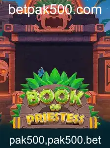 Explorando o Fascinante Mundo de BookOfPriestess